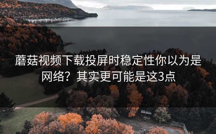 蘑菇视频下载投屏时稳定性你以为是网络?其实更可能是这3点 第1张 蘑菇视频下载投屏时稳定性你以为是网络?其实更可能是这3点 第1张