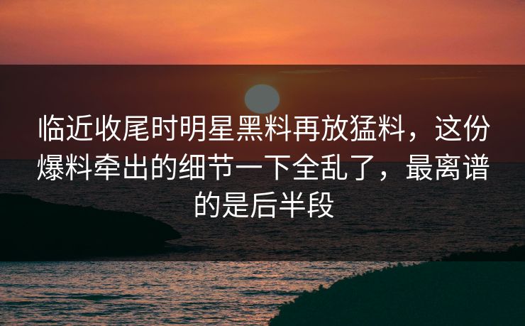 临近收尾时明星黑料再放猛料，这份爆料牵出的细节一下全乱了，最离谱的是后半段