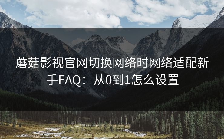 蘑菇影视官网切换网络时网络适配新手FAQ：从0到1怎么设置