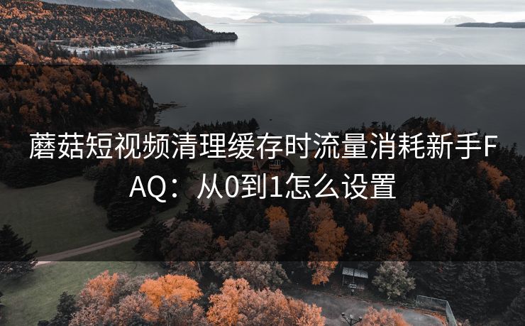 蘑菇短视频清理缓存时流量消耗新手FAQ：从0到1怎么设置