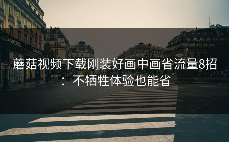 蘑菇视频下载刚装好画中画省流量8招：不牺牲体验也能省