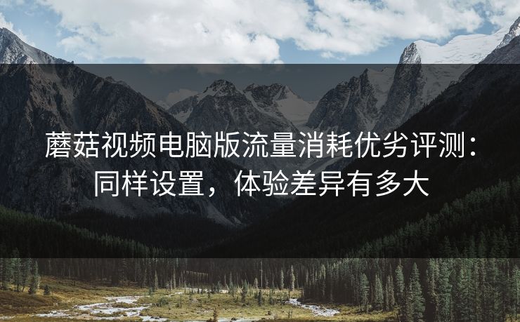 蘑菇视频电脑版流量消耗优劣评测：同样设置，体验差异有多大