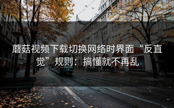 蘑菇视频下载切换网络时界面“反直觉”规则：搞懂就不再乱