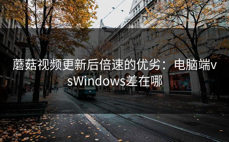 蘑菇视频更新后倍速的优劣：电脑端vsWindows差在哪